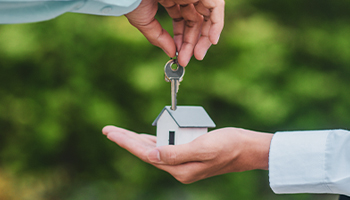 Homeowners Insurance